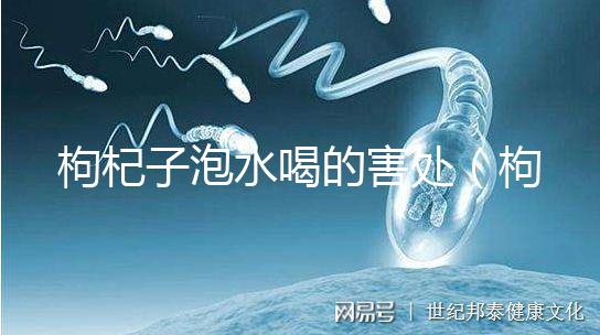 枸杞子泡水喝的害處(枸杞泡幾個(gè)小時(shí)后不能喝)