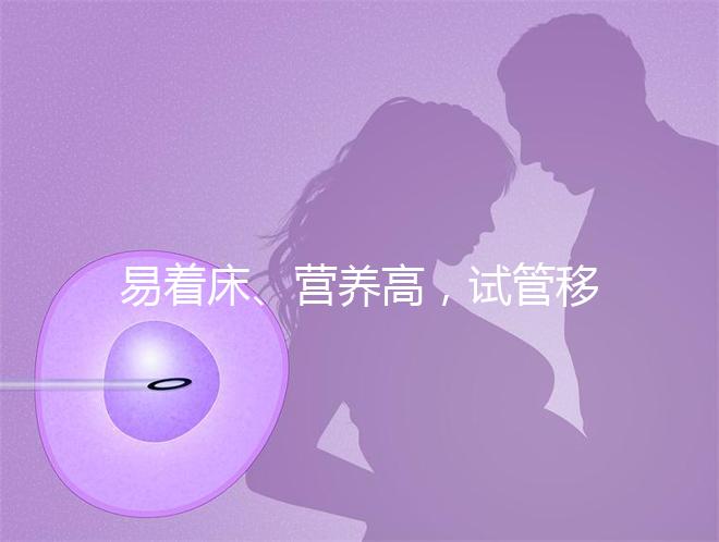 易著床、營養高，試管移植后吃獼猴桃的好處你不知道！