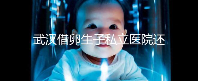 武漢借卵生子私立醫(yī)院還得看這幾家，協(xié)和、同濟(jì)醫(yī)院上榜