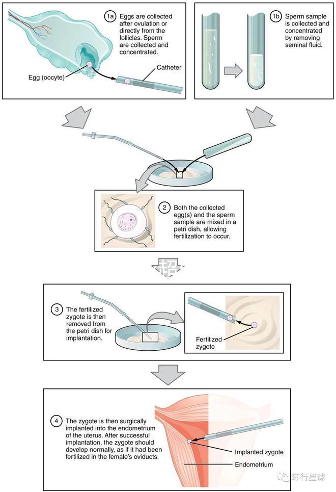 武漢四維彩超費用表整理，內(nèi)附市婦保院超全預約攻略
