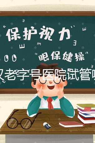 武漢老字號醫院試管哪個醫生好？2025助孕成功率高的大夫參考