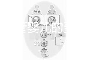 泰國(guó)試管嬰兒的費(fèi)用（泰國(guó)試管嬰兒的費(fèi)用是多少？）