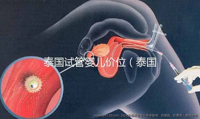 泰國(guó)試管嬰兒價(jià)位(泰國(guó)試管嬰兒價(jià)位多少)