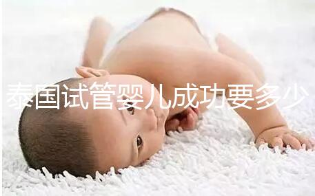 泰國(guó)試管嬰兒成功要多少錢(qián)?不成功怎么辦?