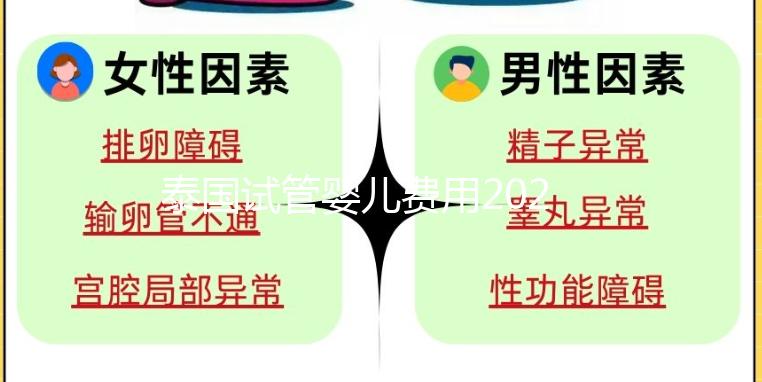 泰國(guó)試管嬰兒費(fèi)用2025年報(bào)價(jià)