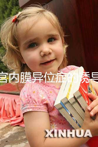 子宮內(nèi)膜異位癥的誘導(dǎo)排卵方案,其實沒有標(biāo)準(zhǔn)答案