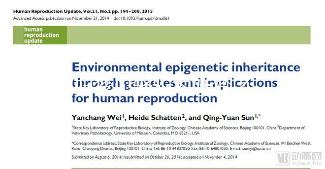 孕婦夢(mèng)見(jiàn)駱駝為好夢(mèng)!不同情形夢(mèng)境象征含義解讀