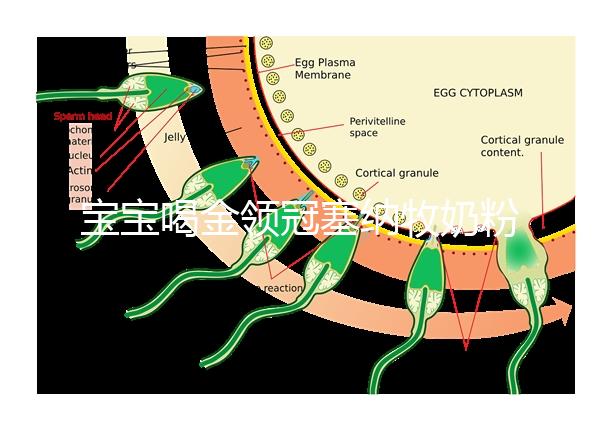 寶寶喝金領冠塞納牧奶粉后不長個，沖泡方法有大問題