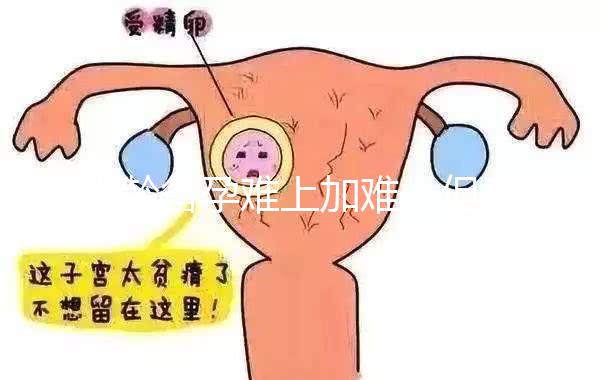 大齡備孕難上加難，但為什么越年輕的女性越容易懷孕？