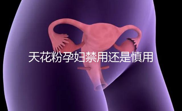 天花粉孕婦禁用還是慎用好看這，5個(gè)月不小心吃了有影響