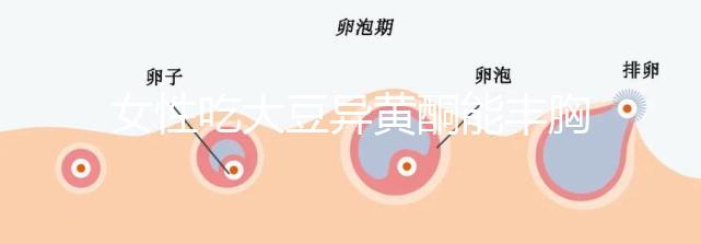 女性吃大豆異黃酮能豐胸？別再被這些虛假廣告給忽悠了