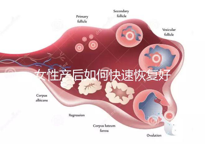女性產(chǎn)后如何快速恢復(fù)好身材?