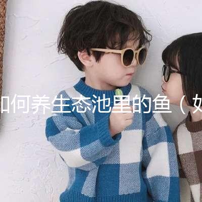 如何養(yǎng)生態(tài)池里的魚（如何養(yǎng)生態(tài)池里的魚視頻）