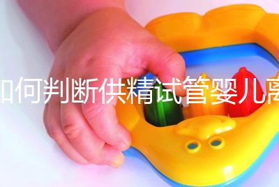 如何判斷供精試管嬰兒離婚,會不會一目了然地判給女方?