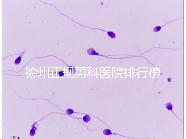 德州正規男科醫院排行榜分享!2024哪個最好一看便知