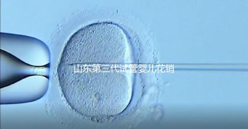 山東第三代試管嬰兒花銷全解析：詳細價格一覽，輕松做好預算準備