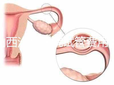 山西汾陽(yáng)醫(yī)院試管費(fèi)用清單公布,2024年生殖科助孕成功率公布