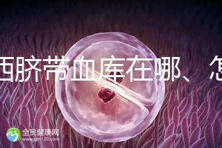 山西臍帶血庫在哪、怎么保存答案在這，太原存20年費(fèi)用竟…