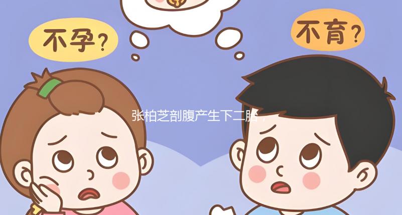 張柏芝剖腹產生下二胎，跟謝霆鋒一個模子刻出來的