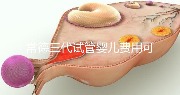 常德三代試管嬰兒費用可以報銷嗎？內附試管費用明細
