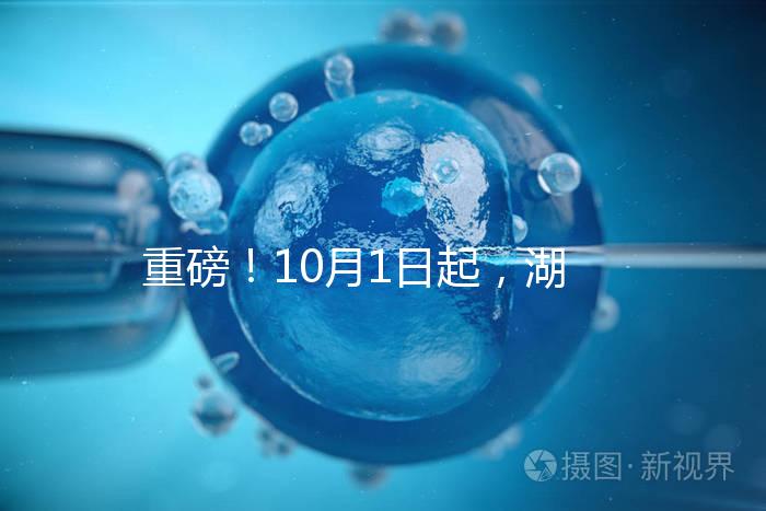 重磅!10月1日起,湖南省試管嬰兒納入醫(yī)保報銷(附29家醫(yī)保定點(diǎn)醫(yī)院)
