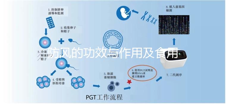 防風的功效與作用及食用方法（防風的功效與作用及食用方法分別是什么？）