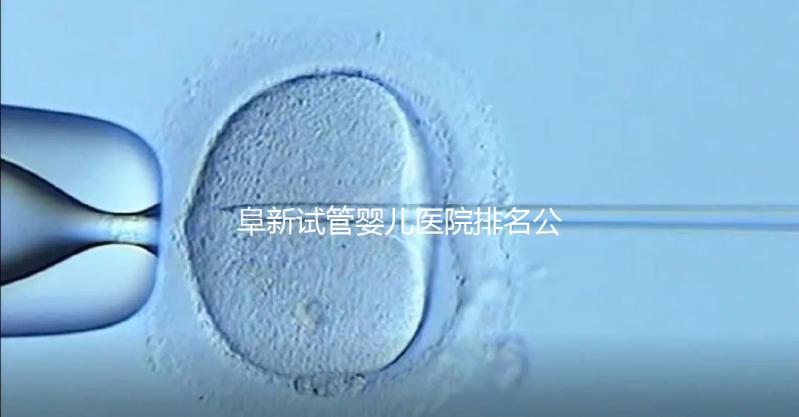 阜新試管嬰兒醫(yī)院排名公開(kāi)，附2024年助孕費(fèi)明細(xì)