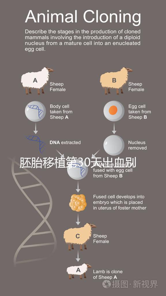 胚胎移植第30天出血別緊張,4個方法助你成功保胎