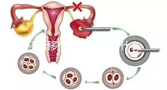 胚胎移植前，醫(yī)生為什么強調內膜厚度要達到8-12mm？