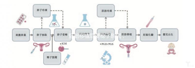 胚胎移植后便秘了別慌，這5種方法你應該試試