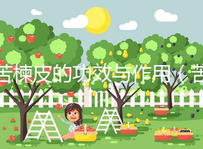 苦楝皮的功效與作用(苦楝皮的功效與作用及禁忌)