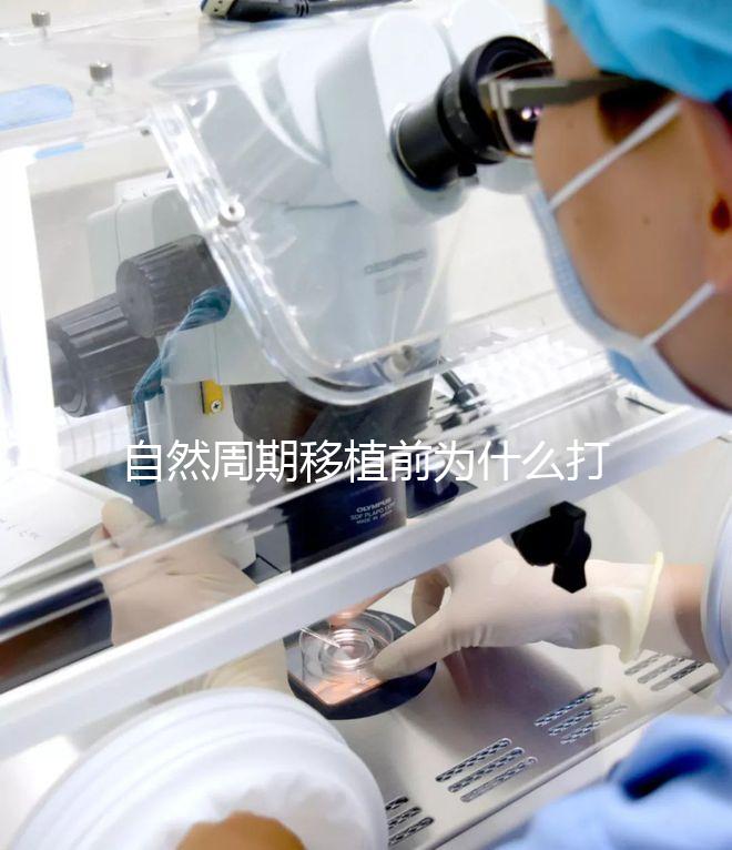 自然周期移植前為什么打絨促？作用不僅是提升妊娠率