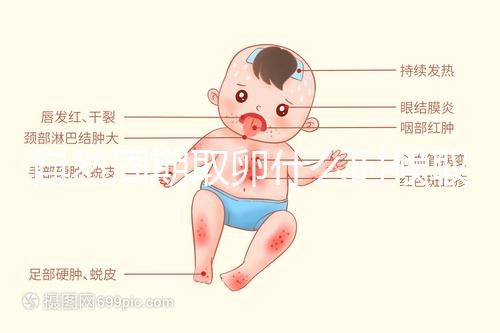 自然周期取卵什么時候取？最佳時間應控制在這個時候