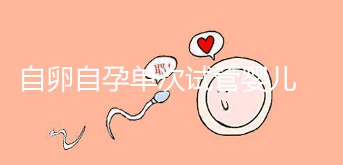 自卵自孕單次試管嬰兒 – $34,000