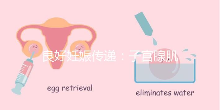 良好妊娠傳遞：子宮腺肌病，移植成功！