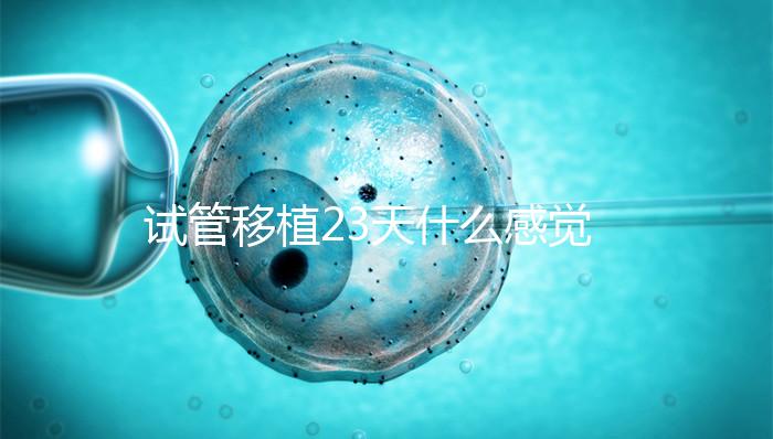 試管移植23天什么感覺都沒有正常嗎?血hcg值才是金標(biāo)準(zhǔn)