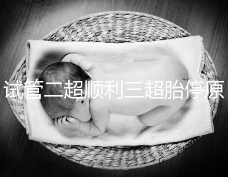 試管二超順利三超胎停原因分析，多半和保胎藥停早了有關