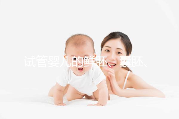 試管嬰兒的鮮胚、囊胚、凍胚，都有說明區別已經成功率
