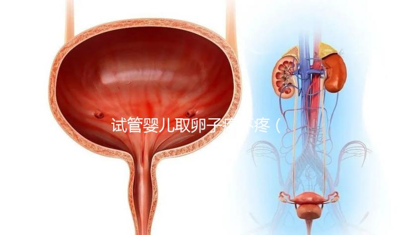 試管嬰兒取卵子疼不疼（試管嬰兒取卵過(guò)程疼嗎）