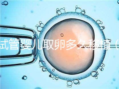 試管嬰兒取卵多久移植(試管嬰兒取卵多久移植最好)