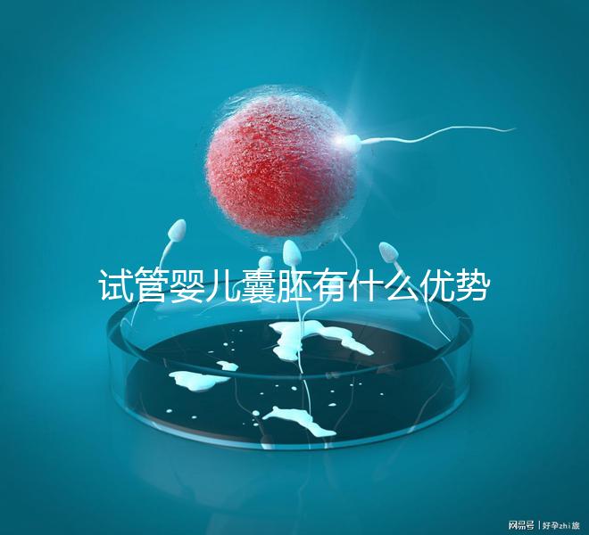 試管嬰兒囊胚有什么優勢嗎?