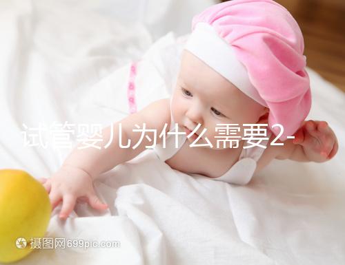 試管嬰兒為什么需要2-3個月?揭秘時間背后的科學(xué)奧秘