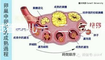 試管嬰兒一、二、三代有什么區別