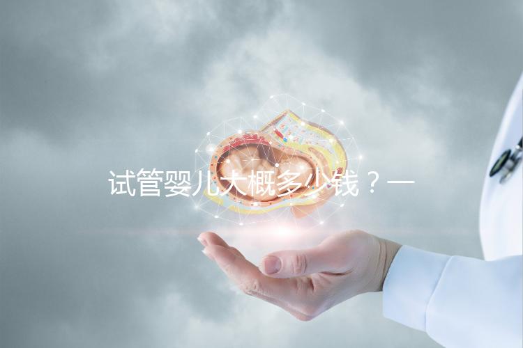 試管嬰兒大概多少錢？一位助孕顧問的真心話