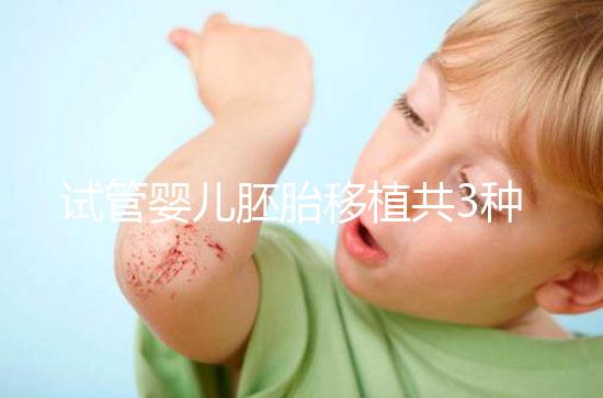 試管嬰兒胚胎移植共3種方案,成功率、技術(shù)有啥不一樣?