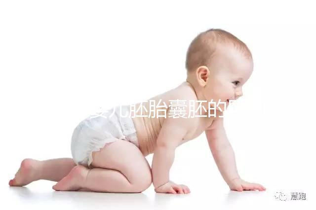 試管嬰兒胚胎囊胚的區別，成功率哪個高