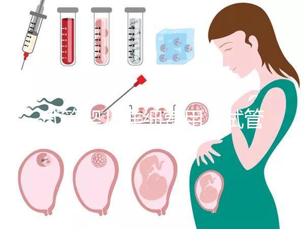 試管嬰兒詳細費用(試管嬰兒詳細費用多少)