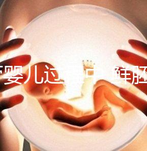 試管嬰兒過程中 鮮胚,凍胚和囊胚哪個成功率高