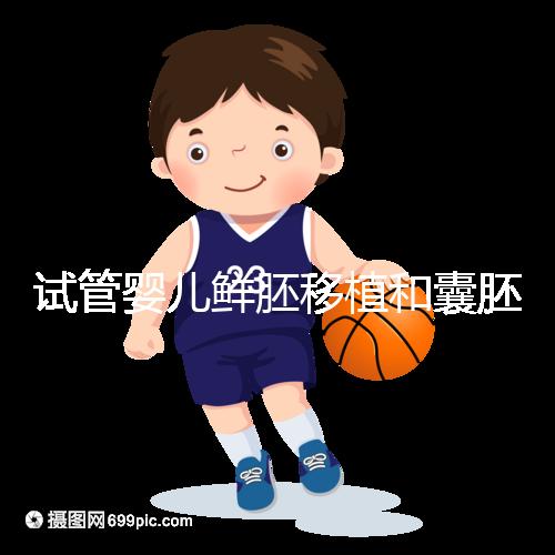 試管嬰兒鮮胚移植和囊胚移植的區別!哪個成功率高看完便知曉