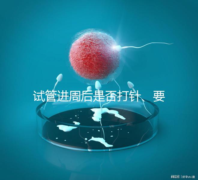 試管進周后是否打針、要不要注射肝素60s說清，備孕的速覽